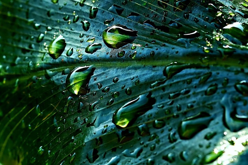 Rainwater collection systems